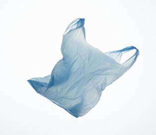 bolsa